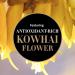 Antipodes Deliverance Kowhai Flower Hand Cream - Nourishing Natural Moisturizer for Soft Hands | International Shipping - Buy Online on GoSupps.com