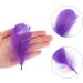 Coceca 300pcs Colorful Feathers for DIY Craft, Wedding, and Party Decor - Buy Online on GoSupps.com