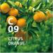 Citrus Orange Clean Air Mist Made in Japan With Sakhalin Fir Orange Lemon Geranium Eucalyptus 50ml - Buy Online on GoSupps.com