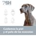 PSH Nose Balm for Dogs - Moisturizing Balm 100ml | Hydrate & Heal Dry Noses - Buy Online on GoSupps.com