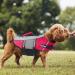 Wallpage Dog Swimming Vest - Reflective Lifesaver for Dogs | High Visibility Pink XL (70-80cm) | Perfect for Swimming Boating & Canoeing - Buy Online on GoSupps.com