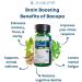 Avalife Mind Focus Brain Booster Capsules (60 Count) | Mental Clarity, Focus & Energy Supplement with Ashwagandha & Bacopa | Gluten-Free, Vegetarian, Non-GMO | 30-Day Supply - Buy Online on GoSupps.com