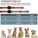 Reflective Airtag Cat Neck Band - Jiarui GPS Collar for Cats & Puppies 9-13 inch - Adjustable with Bell - Orange - Buy Online on GoSupps.com