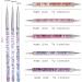 Clear Silicone Jelly Nail Stamper Set - French Tip Nail Art Brushes, Manicure Tools with Stamper, Line Pens, Dotting Pens - Buy Online on GoSupps.com