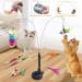 Buy 20 STK Interactive Cat Toys - Fishing with Feather Suction Cup Stability 3 Modes for Kitten & Cats | Self-Employment Intelligence Toys - Buy Online on GoSupps.com
