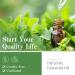PHATOIL Spearmint Essential Oil 10ml - Pure Natural & Cruelty-Free for Aromatherapy - Pack of 1 - Buy Online on GoSupps.com