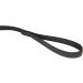 IDC Color & Gray Rubberized Leash - 20mm x 1.2m with Loop | Durable Black-Grey Dog Leash for Comfortable Control - Buy Online on GoSupps.com