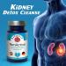 RaDoTech RenActive Kidney Detox Cleanse - 60 Veg Capsules for Natural Kidney Cleanse and Gut Health - Buy Online on GoSupps.com