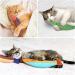 Aibuddy Catnip Toy 3PCS Cat Chew Toys Bite Resistant Catnip Toys with Bell Inside Plush Cartoon Kitten Teething Interactive Toy 1 Count (Pack of 3) - Buy Online on GoSupps.com