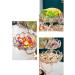 Fruit Bowl Salad Bowl Glass Bowl Set for Kitchen Preparation Fruit Basket Candy Plate for Kitchen Countertop Dining Room Interior Living Room Decor Fruit Bowl for Kitchen Counter (Colo Five Grid Rotatable - Buy Online on GoSupps.com