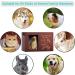 Personalized Wooden Pet Memorial Urn with Photo Frame | Large Capacity 90 Cubic Inches | Loss Pet Remembrance Gift - Buy Online on GoSupps.com