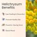 Vitality Extracts Helichrysum Essential Oil 30ml - Aromatherapy for Skin Care Stress Relief & Aches | International Shipping - Buy Online on GoSupps.com