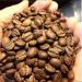 West End Coffee Roasters Espresso Prisca Medium Roast Whole Bean Ethiocally Sourced (12oz/340g) Espresso Prisca 340 g (Pack of 1) - Buy Online on GoSupps.com