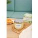 Cucumber Lily of The Valley & Neroli Blossom 3 Wick Candle | 15.8 oz Luxury Spa & Aromatherapy Candle | Fresh Scented Candles for Home | Natural Soy | Stress Relief - Buy Online on GoSupps.com