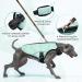 Cooling Vest for Small Dogs | Reflective & Breathable Mesh Dog Jacket | Summer Dog Cooling Coat - Green (M) - Buy Online on GoSupps.com