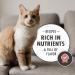 NUTRO Adult Dry Cat Food, Salmon & Brown Rice Recipe, 14 lb - Pack of 1 - Buy Online on GoSupps.com