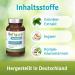 Refigura Interval Capsules - Optimize Intermittent Fasting with Glucomannan Zinc & Green Tea - Vegan Dietary Supplement - 160 Glass Capsules + Free E-Book - Buy Online on GoSupps.com