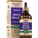 Piping Rock White Willow Bark Tincture | 4 Fl Oz | Premimum Liquid Extract | Alcohol Free Vegetarian | Non-GMO Gluten Free