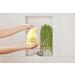 Dr Teal's Gommage au sucre de karit pr biotique m lisse 538 g M lisse aux huiles essentielles - Buy Online on GoSupps.com