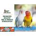Sweet Feet and Beak Comfort Grip Safety Perch X-Large 13.5 Blue - Patented Pumice Perch for Birds - Keep Nails and Beaks Healthy - Easy Install Bird Cage Accessories - Buy Online on GoSupps.com