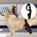 Dog Leg Bracket Pet Dog Leg Support Bracket Dog Hind Leg Protection Device Adjustable Knee Bracket Leg Bracket Dog Arthritis Bracket for Dog Hind Leg Rehabilitation L - Buy Online on GoSupps.com