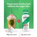 Super Coffee Iced Keto Peppermint Mocha Latte 12 Pack | 0g Sugar, 10g Protein, 70 Calories | Iced Coffee Protein Drink | Lactose-Free, Gluten-Free - Buy Online on GoSupps.com
