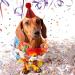 Molain Dog Birthday Hats 4 Pieces Dog Party Hats Party Decorations Accessories for Dog cat Headband hats red royal blue gold pink 11.5 x 7.5 cm - Buy Online on GoSupps.com