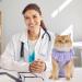 Avont Katzenbody: Recovery Suit for Cats - Post-Op Castration & Spay Leak Protection for Abdominal Wounds - Medium Lilac - Buy Online on GoSupps.com