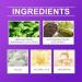 Teeth whitening powder Mint tooth powder Purple teeth whitening powder Mineral teeth whitening powder Teeth whitening powder - Buy Online on GoSupps.com