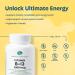 Earth's Splendor Energy & Health: Vitamin B12 (200 Tablets) Magnesium for Bone & Muscle Support (100 Caplets) Vitamin D3 2 000 IU (75 Capsules) No Artificial Additives Gluten & Wheat Free - Buy Online on GoSupps.com