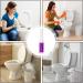 Toilet Cleaning Gel | Flower Scent Toilet Cleaner Bowl Gel Stamp | Bathroom Deodorizer and Bowl Cleaner Kit Flower Fragrance Gel Stamp Kit for Toilet Bowl Purple - Buy Online on GoSupps.com
