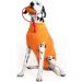 MPS Medical Pet Shirt for Dogs - Orange Color Size S + S+ | International Shipping Available - Buy Online on GoSupps.com