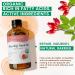 PHATOIL 118ML/4 Oz Organic Rosehip Seed Oil & Jojoba Oil for Skin Face Body Care Pure and Natural Cold Pressed Base Carrier Oil - Buy Online on GoSupps.com