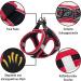 Uvtqssp Dog Harness for Small Dogs | Padded Adjustable Leash & Stylish Black & Red Puppy Dishes - Buy Online on GoSupps.com