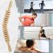 Altamenjor Wooden Fascia Roll - Gua Sha Massage Roller for Muscle Relaxation & Body Shaping | 16 Wheel Wood Massage Tool - Buy Online on GoSupps.com