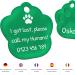 ENGRAVO Custom Dog Tag Paw in Green - 33mm with Personal Engraving & 2 Key Rings - Perfect Pet Accessory - Buy Online on GoSupps.com