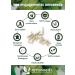 Garcinia Cambogia Organic | Fast & Effective | High Concentration 60% HCA | 2000mg/Day | Satiety Line | Top Quality - Buy Online on GoSupps.com