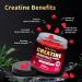 Creatine Monohydrate Gummies 5000mg for Men & Women - Sugar Free Pre-Workout Supplement, Chewables for Muscle Strength, Muscle Builder, Energy Boost, Mixed Berry Flavor, 120 Count Mixed Berry Flavor 1 Count (Pack of 120) - Buy Online on GoSupps.com