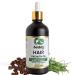 Seddy Hair Growth Oil with Caffeine Rosemary Castor Biotin Peppermint Argan & Jojoba - 100% Pure & Natural Hair Strengthening Oil - 3.4 Fl. Oz (Pack of 1) 3.4 Fl Oz (Pack of 1)