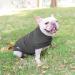 Buy Docio Soft & Warm Dog Sweater - Spring T-Shirt for Small Dogs & Cats - Gray (1 Pack) - Buy Online on GoSupps.com
