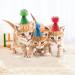 PET SHOW 10pcs Mini Small Dog Hats Cat Birthday Party Hat Rabbit Hats for Holiday Wedding Puppies Kittens Costume Accessories 10pcs Mini Hats - Buy Online on GoSupps.com