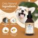 Belly De-Fuzzing Spray for Dogs - 250ml Aloe Vera Fur Care | Softens & Removes Fur for All Breeds - Buy Online on GoSupps.com