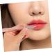 minkissy Makeup Brush Make up Brush Concealer Brush Lip Brush for Lipstick Lip Gloss Applicators Lipstick Brush Retractable Lip Applicators Lip Wands Lip Balm Artificial Fiber Miss Portable - Buy Online on GoSupps.com