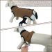 Convinite Recovery Suit for Dogs - Breathable Wound Protection for Male & Female Dogs - After Surgery Castration One-Piece Outfit Brown XL - Buy Online on GoSupps.com