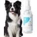 PUCHEN Teeth Cleaning Spray for Pet Pet Teeth Cleaning Spray 60ml - Cleaning Dog Teeth Spray Odors and Freshen Breath for Home Outdoor Travel Use - Buy Online on GoSupps.com