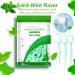 100 Dental Sticks - Disposable Tooth Cleaning Picks with Mint Flavor for Plaque & Food Residue Removal - International Shipping Available - Buy Online on GoSupps.com