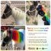 Opawz Permanent Pet Hair Color - Safe & Long-Lasting Dye for Dogs & Horses (Profound Green) | Vibrant Colors Over 20 Washes - Buy Online on GoSupps.com