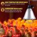 BrightArk 250W Poultry Heat Lamp with 2.5M Wire and 2M Hanging Chain - Energy Saving Switch, Livestock Breeding Brooder Lamp for Puppies, Chicks, Piglets, Reptiles (No Bulb) - Buy Online on GoSupps.com