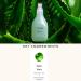 Jurlique Aloe Vera Hydrating Mist- 100ml | Hydrating Face Mist Spray for Women & Men | Hydration for All Skin Types | Evergreen Scent | Australian Natural-Based Skincare - Buy Online on GoSupps.com