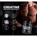 100% Pure Micronized Creatine Monohydrate Powder Unflavored - 60 Servings (300g) - Boost Performance & Recovery - International Shipping - Buy Online on GoSupps.com
